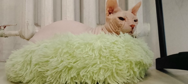 С первым днём зимы😁❄️