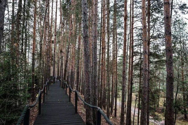 📷 Осенняя прогулка по живописному Лосиному острову.