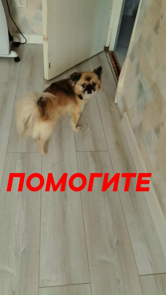 Пропустите, пожалуйста
🆘️🆘️🆘️🆘️🆘️🆘️🆘️🆘️?...