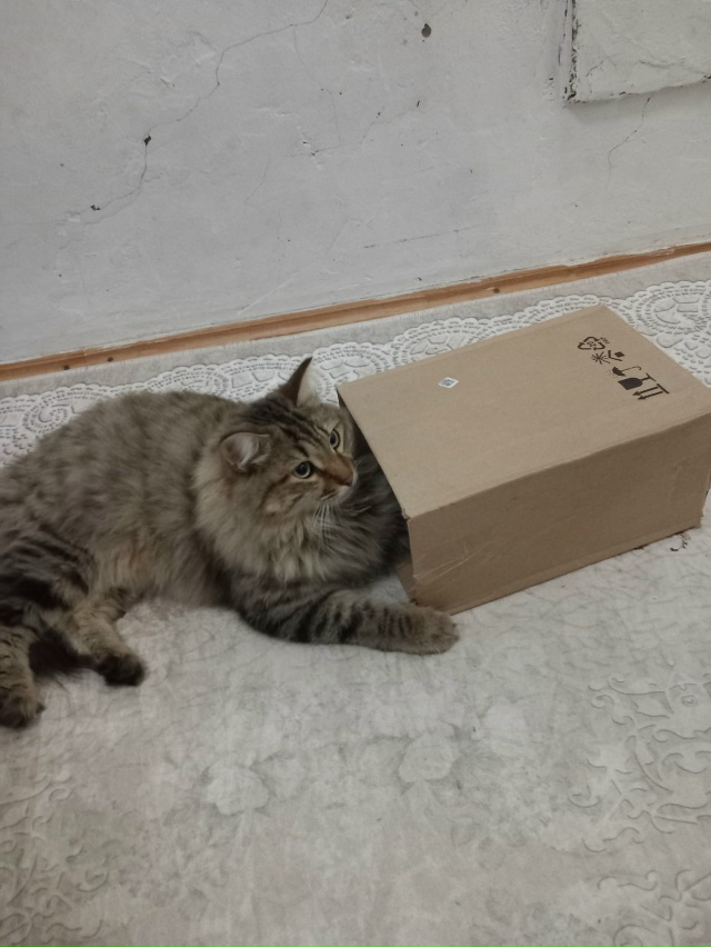 Хочу взять ипотеку на эту квартиру....