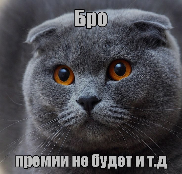 Бро, ночная подборочка
и т.д.