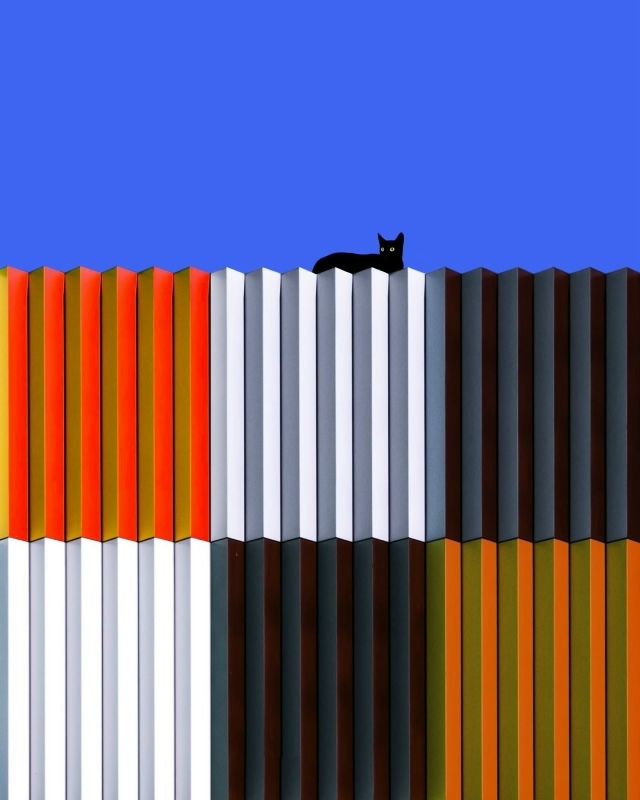 Минимализм и котики.
Ну идеально ❤