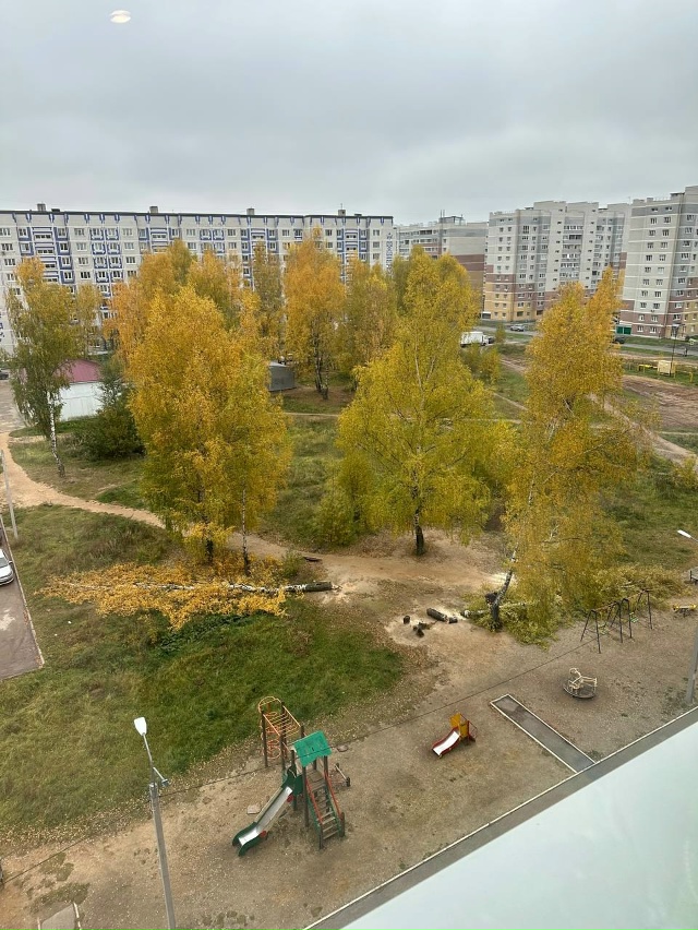 👏 Миссия на 4 квартал 2025?
Уничтожить все зеленые насаж...