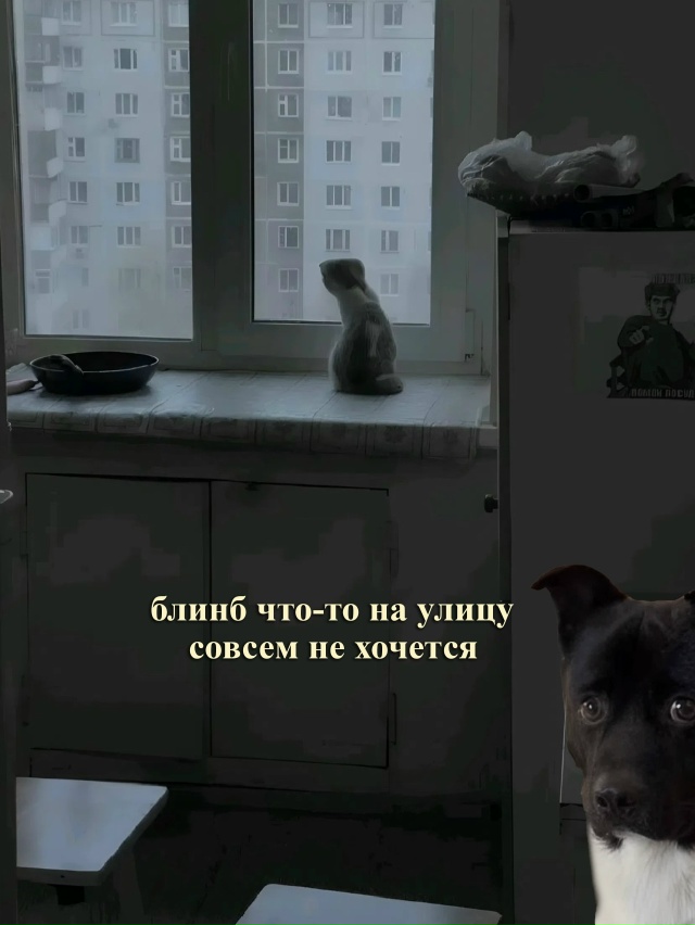 Чисто я: