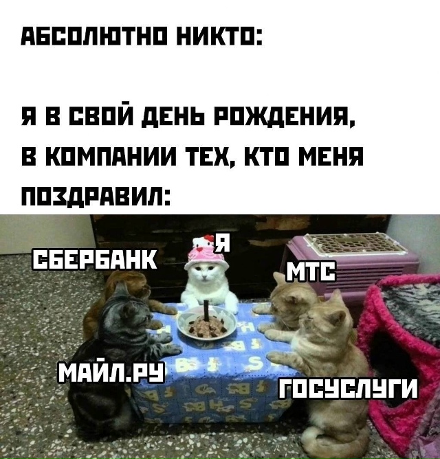 Они всегда поздравляют