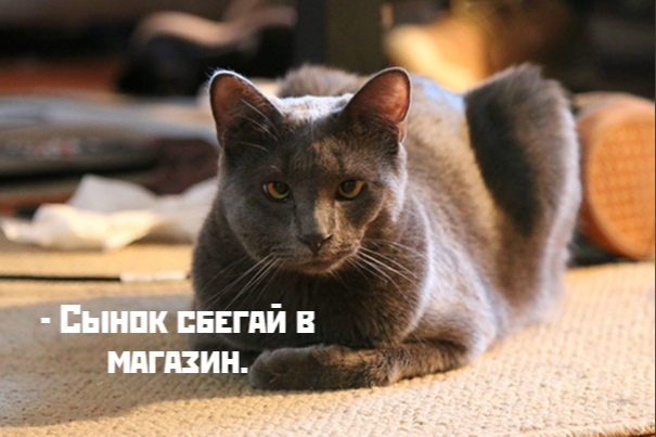 😂Дерзкий какой)