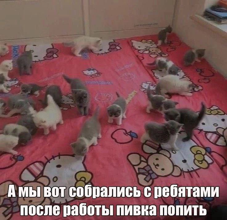 Утренняя подборочка