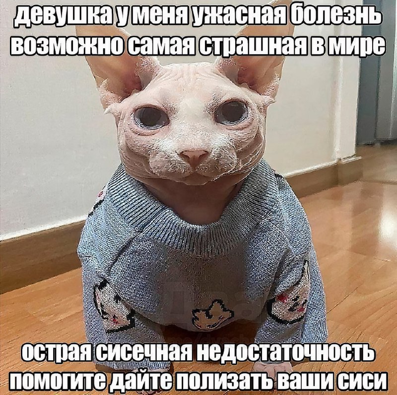 Отправь той самой