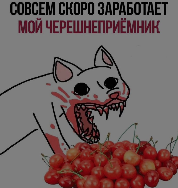 Ночная подборочка
Спать, режим
