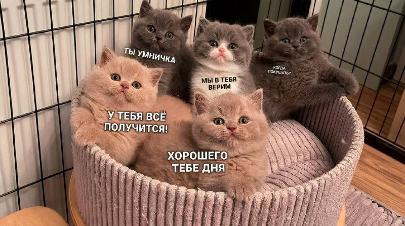 Сегодня отмечается день «Ты всё делаешь правильно»
Если тебе переслали этот пост, знай — ты реально