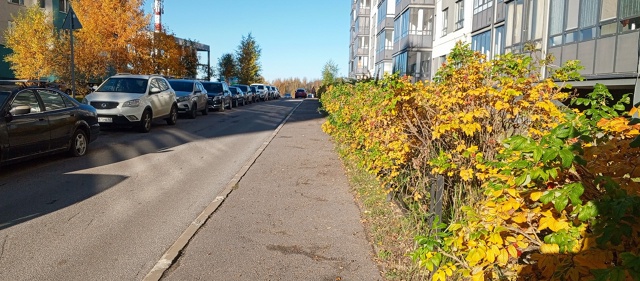 Вас ударил коричневый Киа Спортейдж 287 номер буквы не з...