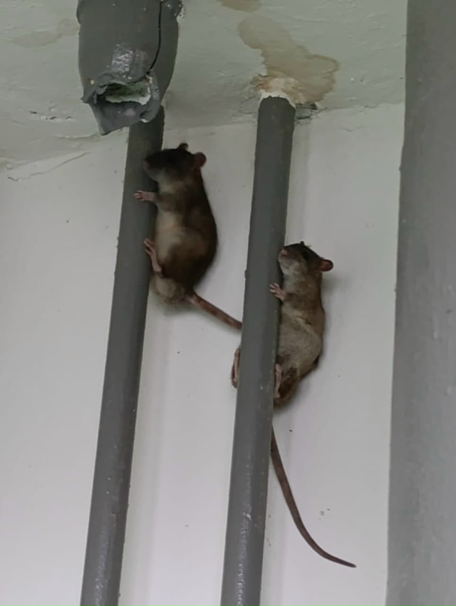 Всем волховчанам— здравствуйте! Пишите номера домов,г...