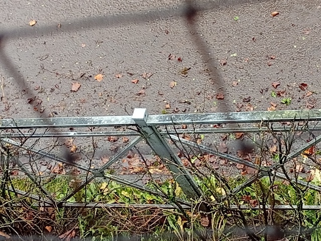 Вот такая уборка сегодня прошла по улице Тоси Петровой...