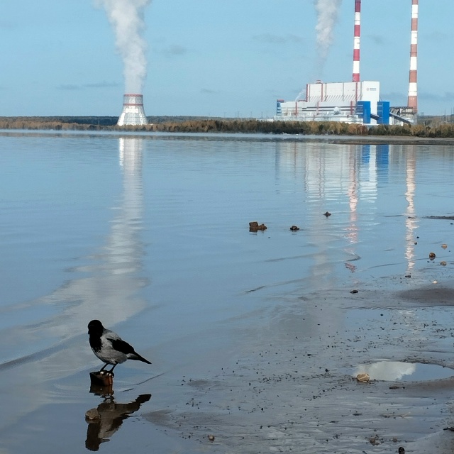 Мне помнится, вороне,
А может, не вороне,
А может быть, к?...