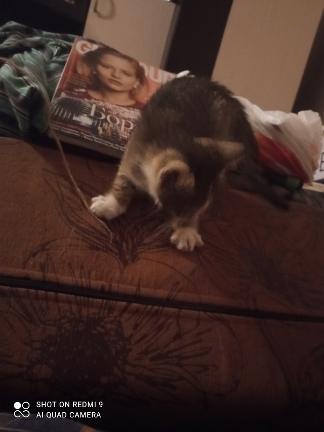 Малыш Тихан и моя любовь Маркиз 😻