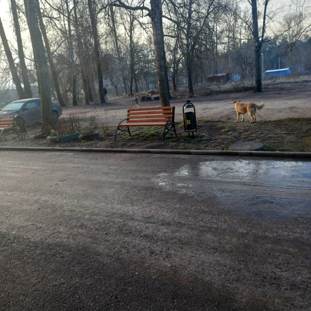 В Сукремле в районе Пятерочки на Щербакова давно наблю...
