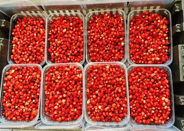 Земляничный бум в Рыбинске 😍 В рыбинских лесах – нев...