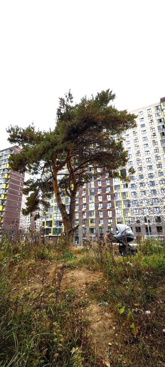 🤔Пригород Лесное. Откуда такая свалка?
Соседи, неуже...