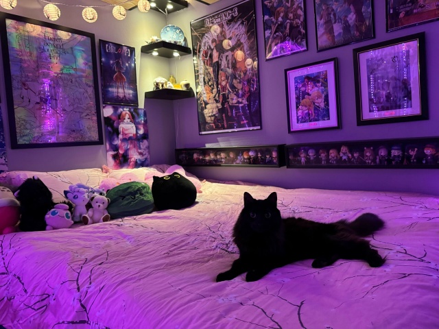 Кто нибудь уже украсил дом к праздникам? ☃️