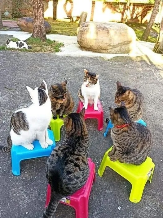 Собрание жителей дома по ЖКХ😂