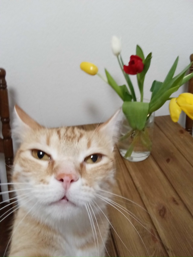 Темочка желает Вам Хорошего Денечка🌸💐🌷