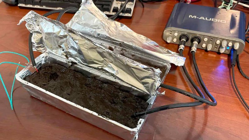 Аудиофилы не смогли отличить Hi-Fi кабель от грязи и банана😂
В слепом тесте приняли участие убежден