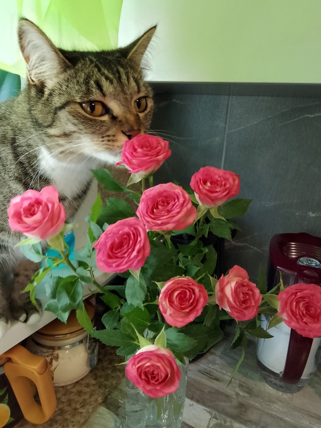 Кекс и розы)))
