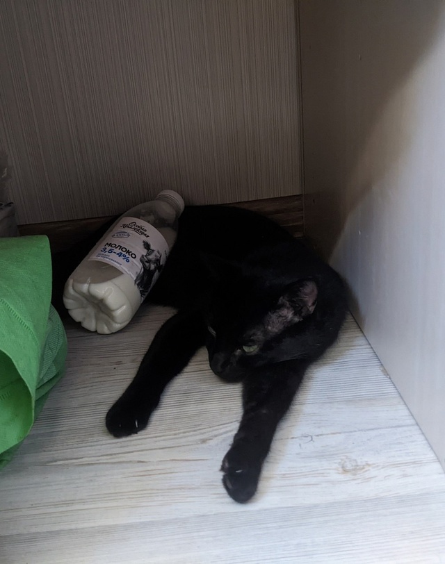 Коротко о погоде этим летом