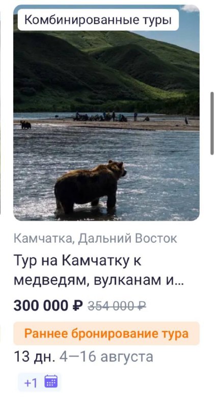 В сети появился тур на Камчатку с пятидневным проживанием в палатке рядом с местами обитания медведе