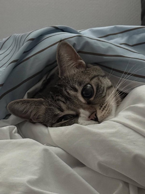 Ну идем уже споть :3