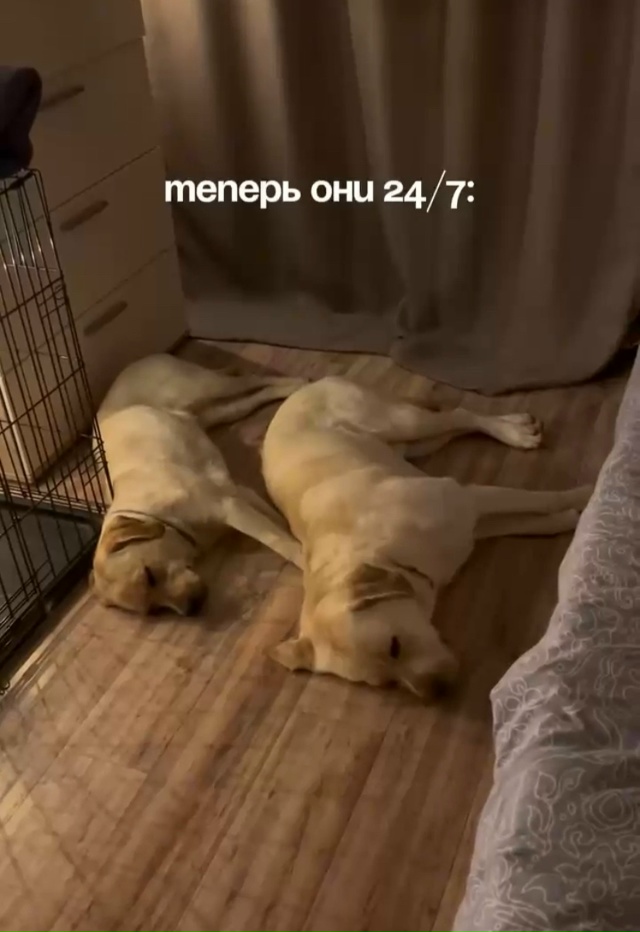 Главное - уют