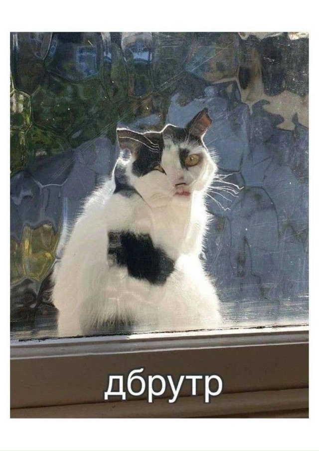 Состояние к концу рабочей недели...