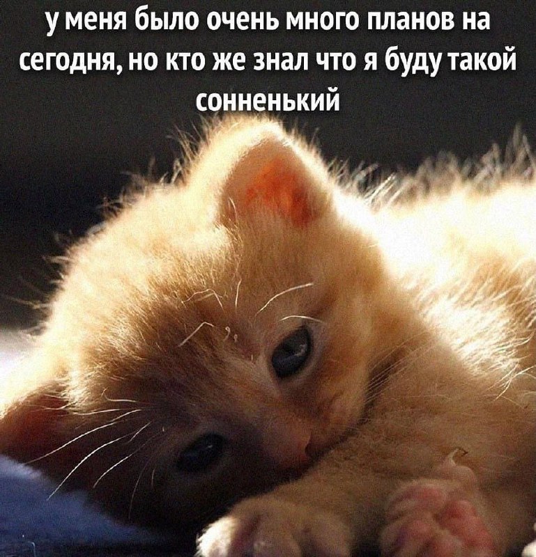 Утренняя подборочка