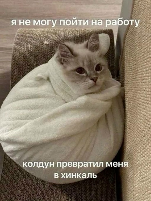 😴С добрым утром пятницы.
Жми сердечко на посте, если т...