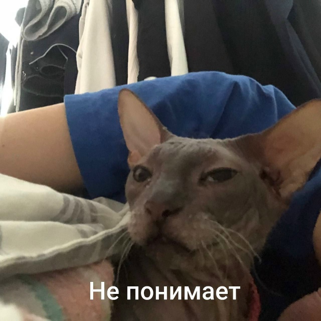Всрато-подборка Арчибальда Коксовича