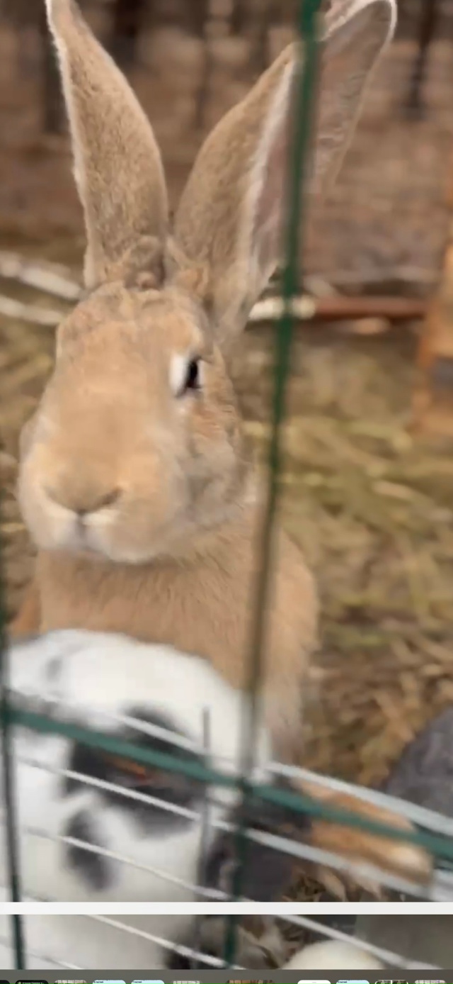 Добро пожаловать в глэмпинг В СОСНАХ 🌲
[id1083713020|В Сосна...
