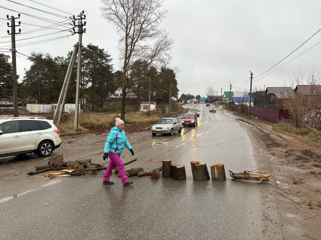 Не дотерпела
Дорогу возле пруда на улице 40 лет Октябр?...