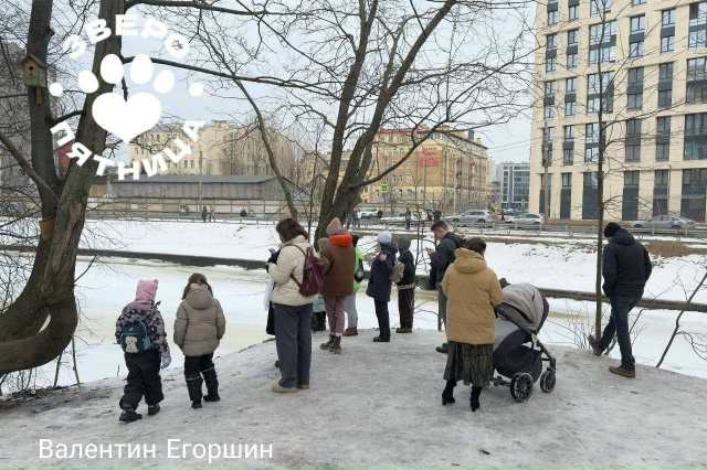 🦫 Бобр с Чёрной речки стал новой достопримечательнос?...