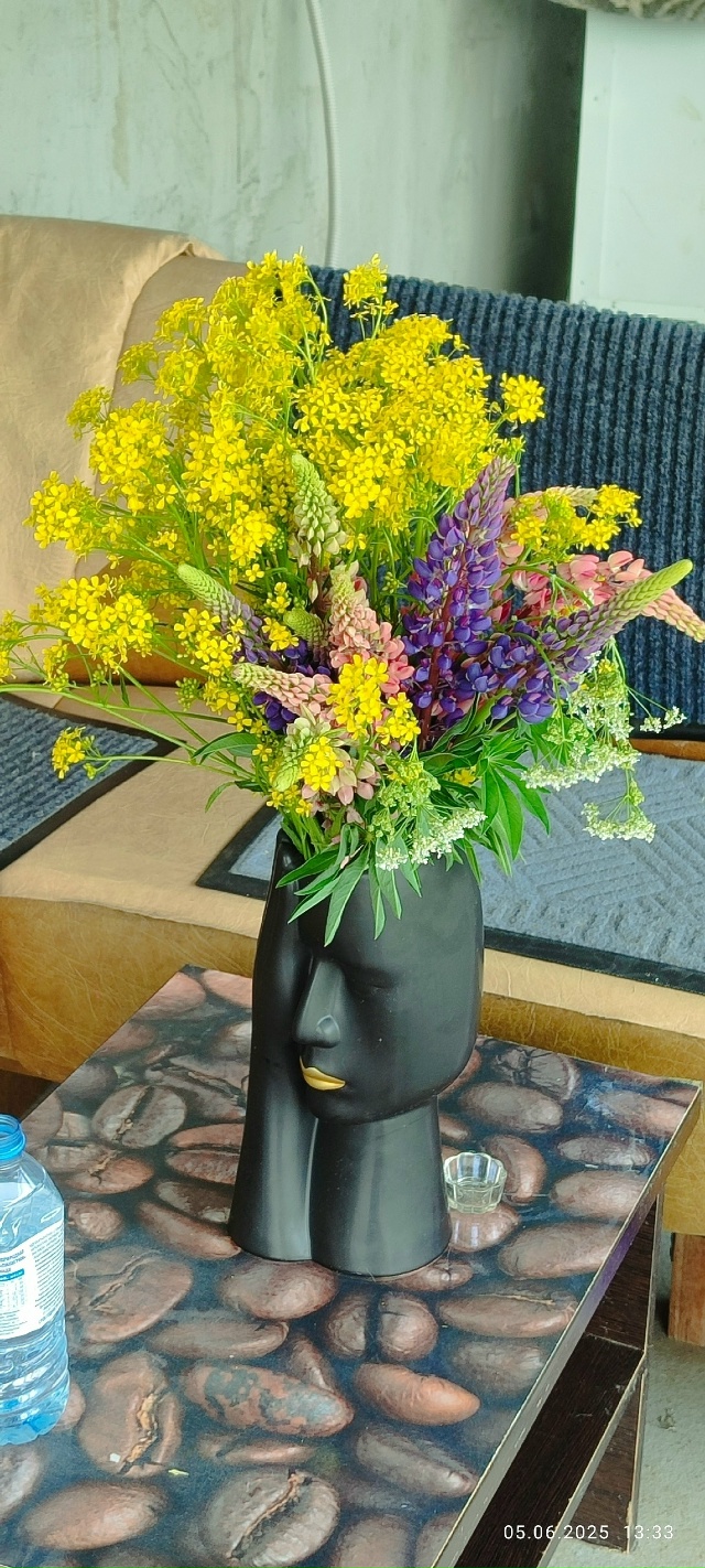 Частичка лета =) как прошло, успели отдохнуть и напитат?...