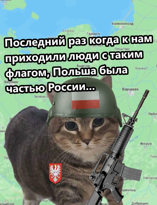 Где то на границе Беларуси и Польши...
