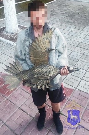 Начальник отдела МВД России по городу Жигулёвску и общ...
