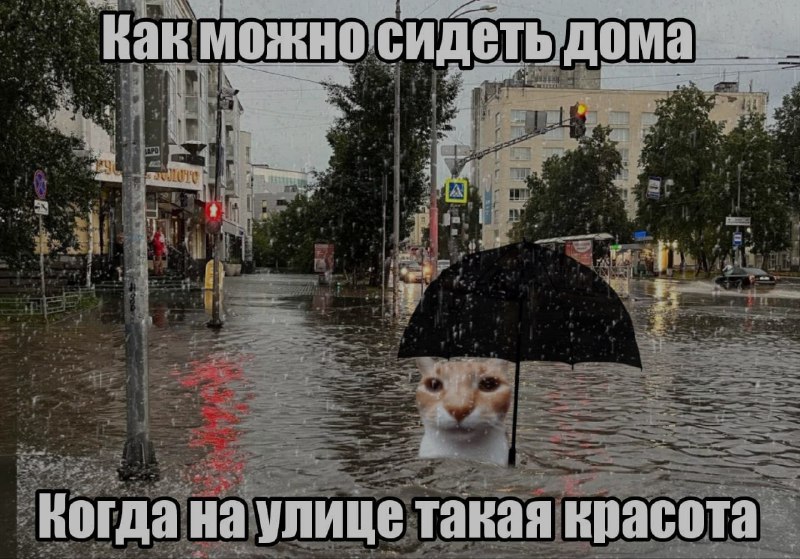 Ночная подборочка
Выходные, не спим