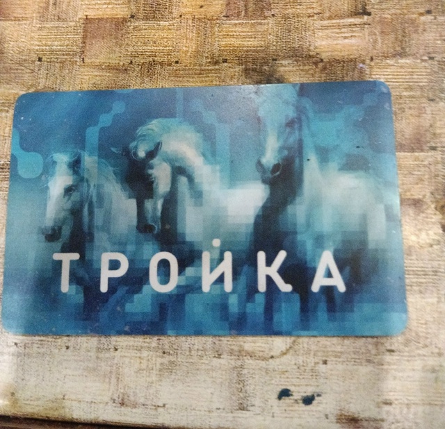 Чья потеряшка? Нашли в луже около кб на Московской