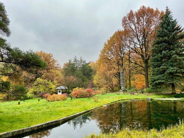 Японский сад в Ботаническом саду 🍃.
Фото: Татьяна Ти?...