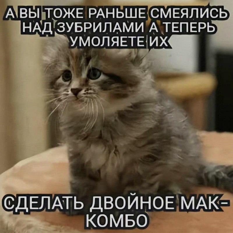 Ночная подборочка
Спать, режим