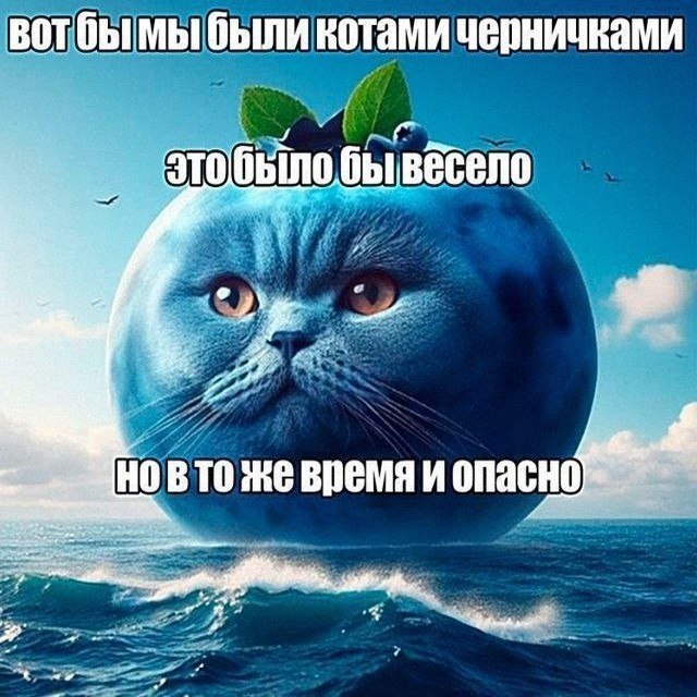 Утренняя подборочка
