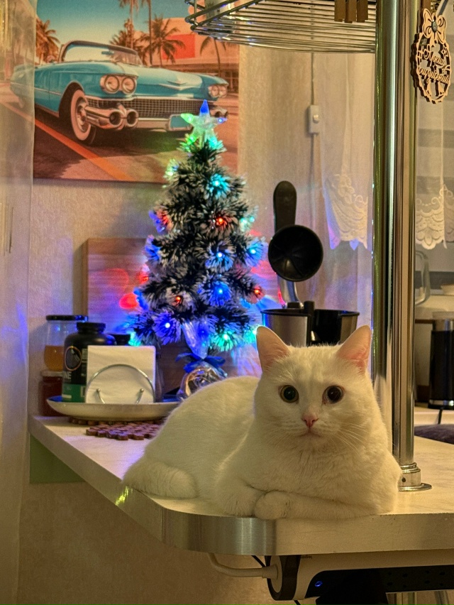 1. Эй, кожаный, вруби свет, а то мне темно лежать на столе...