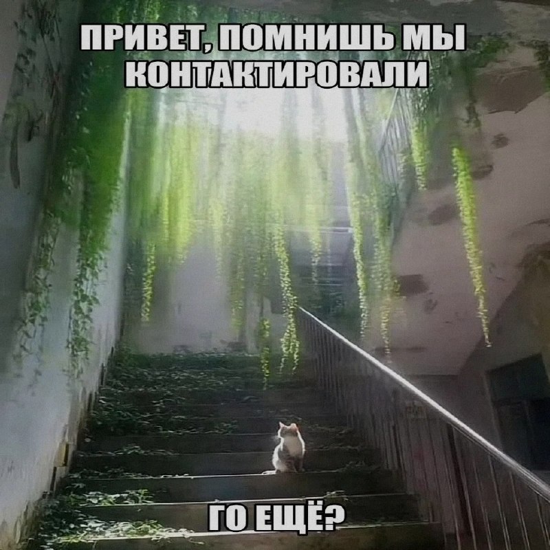 Ночная подборочка
Спать, режим