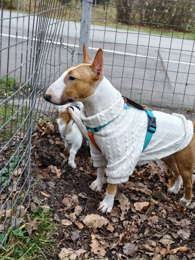 Прошу обратить внимание Администрацию Тульской облас?...
