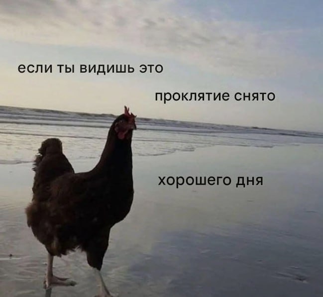 Ночная подборочка
Спать, режим